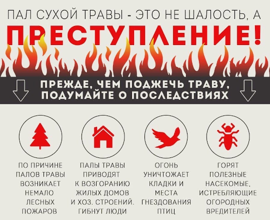 В Одинцовском городском округе введён особый противопожарный режим