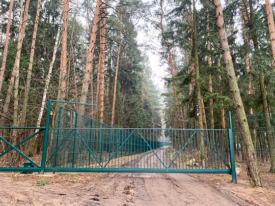 Проход на земли лесного фонда перекрыт забором, Самовольное занятие земель лесного фонда в Трубочеевке