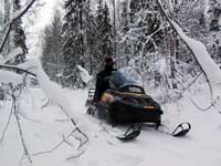 В Одинцовском районе двое мужчин врезались на снегоходе в дерево