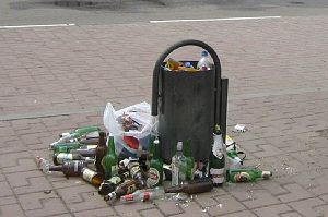 Способны ли вы мусорить на улицах?