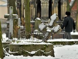 Строительство Одинцовского кладбища, скорее всего, будет отложено