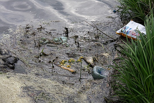 «Экологическая катастрофа» на водоеме в восьмом микрорайоне