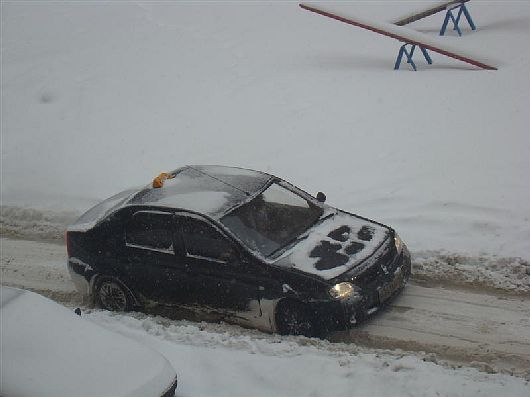 Власиха, машины идут по колеям в снегу