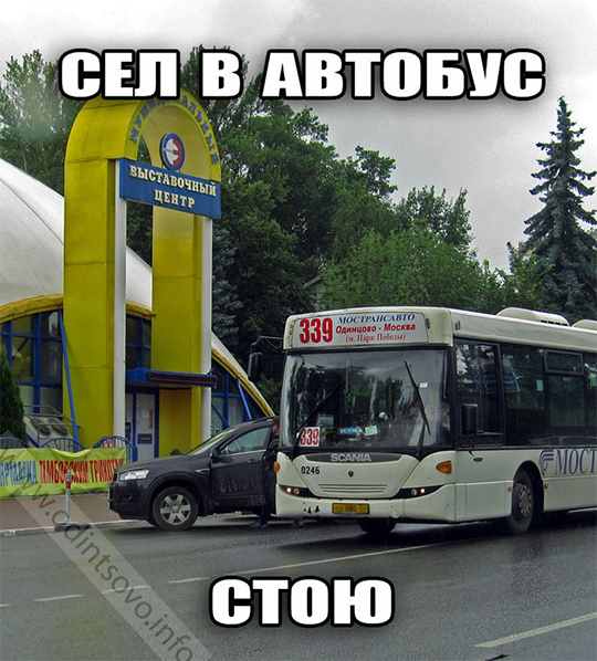 339 автолайн, автобус, Одинцово, мем