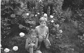  Среди роз Светланы Владимировны  - два дивных цветочка-внучки.