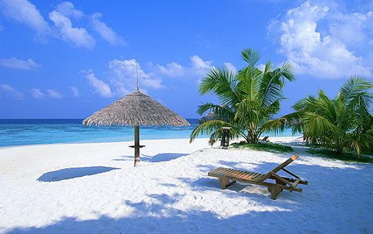 Мальдивы, пляж, море, пальмы