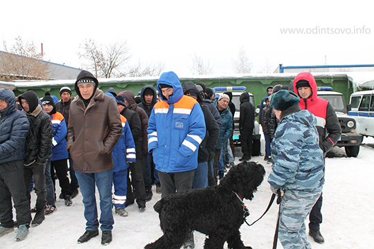 253 мигранта доставили в полицию в Одинцово
