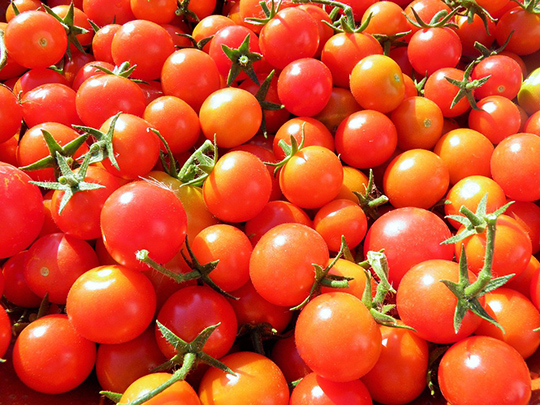 Запрещённые турецкие помидоры изъяли в Одинцово