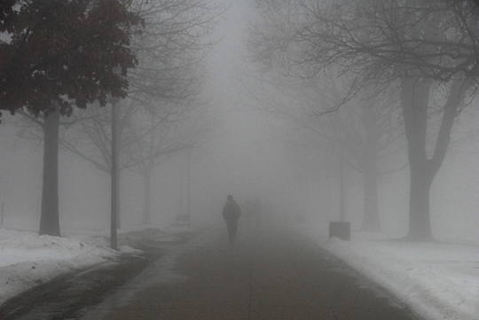 Сильный туман ожидается в Подмосковье 17 января