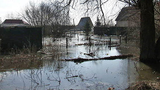 Посёлок Часцы затопило1