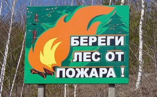 В Одинцово запретили жечь