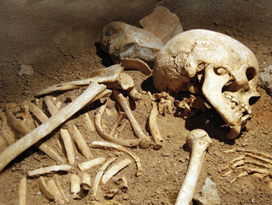 Скелет обнаружили в болоте в Голицыно