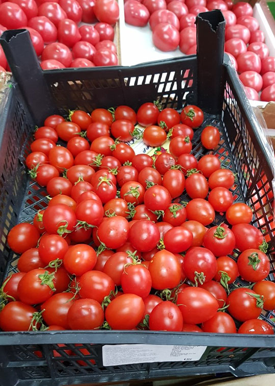 Запрещённые турецкие помидоры уничтожили в Одинцово