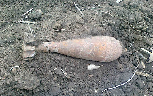 Миномётную мину времён ВОВ нашли в Одинцовском районе 