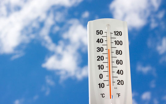 МЧС предупредило об аномальной жаре в Подмосковье
