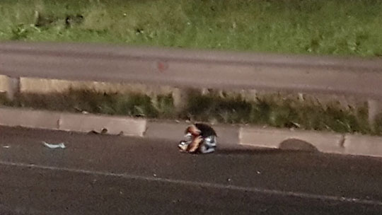 Водитель скутера и его пассажир погибли в ДТП на 1-м Успенском шоссе