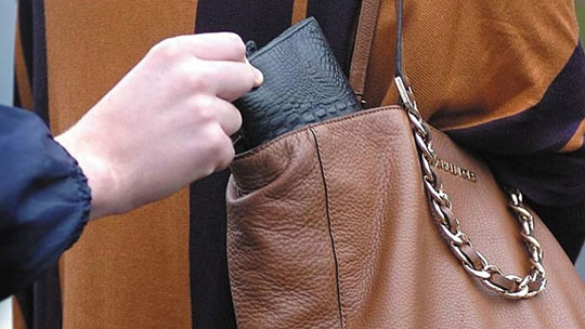 Москвич украл кошелёк у пассажирки маршрутки