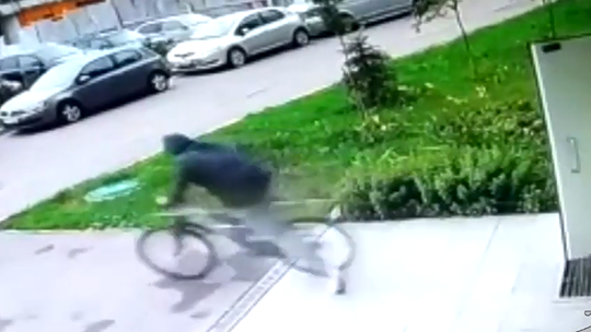 Серийного велоугонщика поймали в Звенигороде