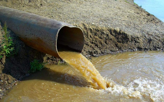 Завод загрязнил нефтепродуктами приток реки Сетунь