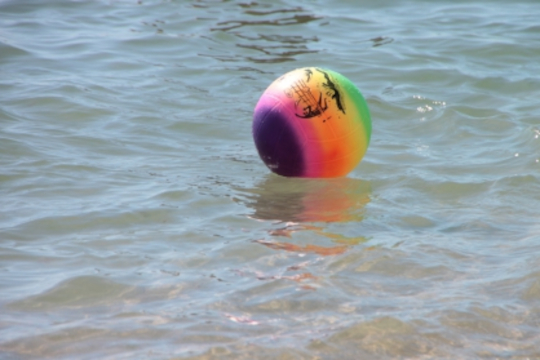 Подросток утонул во время игры в мяч на водоёме в Одинцовском округе