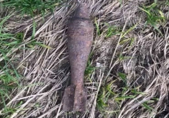 Миномётную мину нашли в лесном массиве возле села Саввинская Слобода