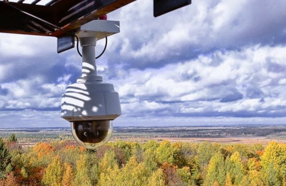 В Одинцовском округе работают три камеры для отслеживания лесных пожаров