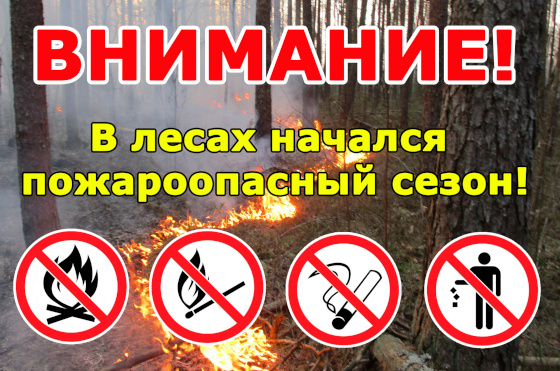 Пожароопасный сезон начался в лесах Московской области