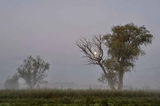 Утро с туманом и луной, Астраханская область, Видовой, feneek, Одинцово, ул.Неделина