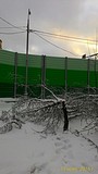 P 20161113 154524 1 p