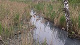 Река Ликова, якобы приватизированная женой Суркова)) 