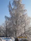 Сказочная зима