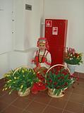 MALINA. Участница одинцовского ансамбля «Родник».