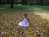 золотая осень