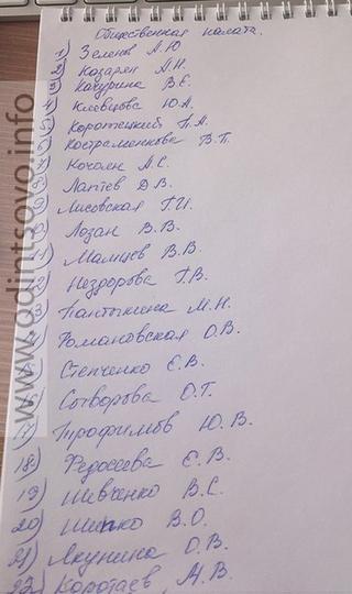 Единый День голосования за кандидатов в общественную палату Одинцовского района — 22.04.2014, 332