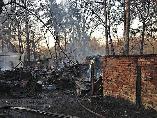 Пожары в Одинцовском районе, Пожар на Баковке