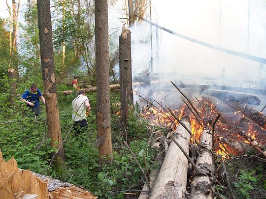 Пожары в Одинцовском районе, Пожар в Подушкинском лесопарке