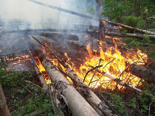 Пожары в Одинцовском районе, Пожар в Подушкинском лесопарке