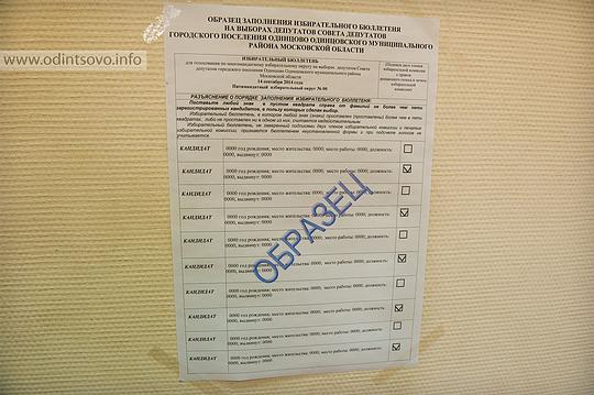 Избирательные участки Одинцовского района