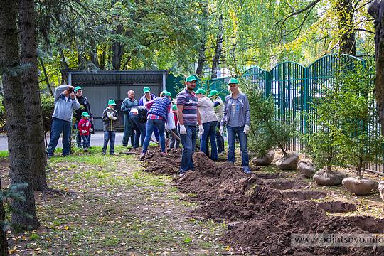Акция в Барвихе «Наш лес. Посади свое дерево»