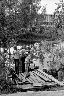 «Баранка», Центральная площадь, вид на здание администрации
Автор фото Иван Колупаев