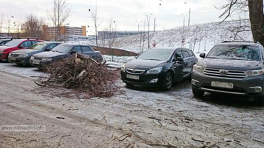 На Маковского два дерева повредило три автомобиля
