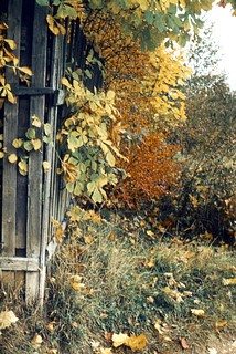 Одинцово в ХХ веке
Автор фото Иван Колупаев