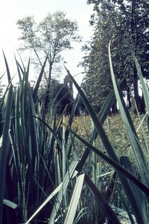 Вид на Гребневскую церковь
Автор фото Иван Колупаев