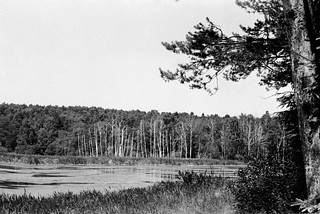 Пруд «Решетник»
Автор фото Иван Колупаев