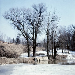 Пруд «Решетник»
Автор фото Иван Колупаев