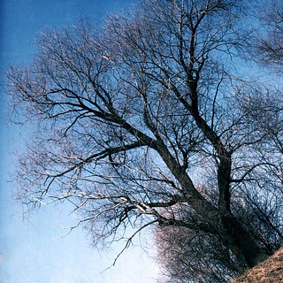 Пруд «Решетник»
Автор фото Иван Колупаев