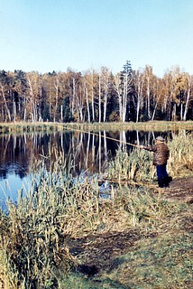 Пруд «Решетник»
Автор фото Иван Колупаев