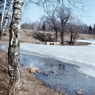 Пруд «Решетник»
Автор фото Иван Колупаев