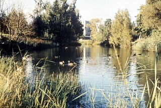 Прудик на ул. Интернациональная
Автор фото Иван Колупаев