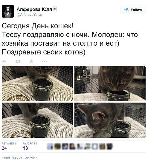 День кошек Юлии Алферовой (Клюшиной), В своем твиттере член Общественный палаты Московской области Юлия Алферова опубликовала пост с фотографии где кормит свою кошку Тессу черной икрой